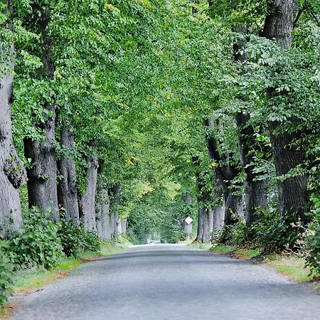 度假居 Gutshaus Zicker In Garz Garz (Rugen)