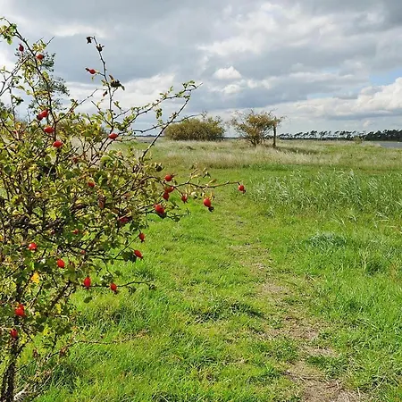 Gutshaus Zicker In Garz *