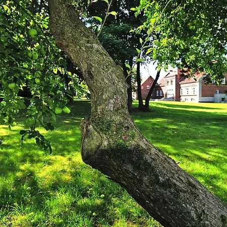 In Garz With Parking Space Holiday home *