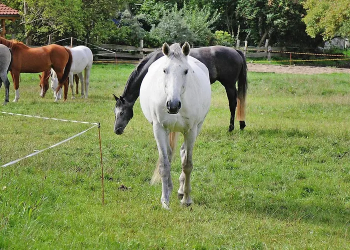 Vakantiehuis Gutshaus Zicker In Garz *