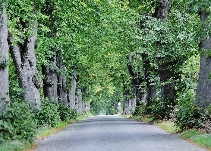 Vakantiehuis Gutshaus Zicker In Garz Garz (Rugen)