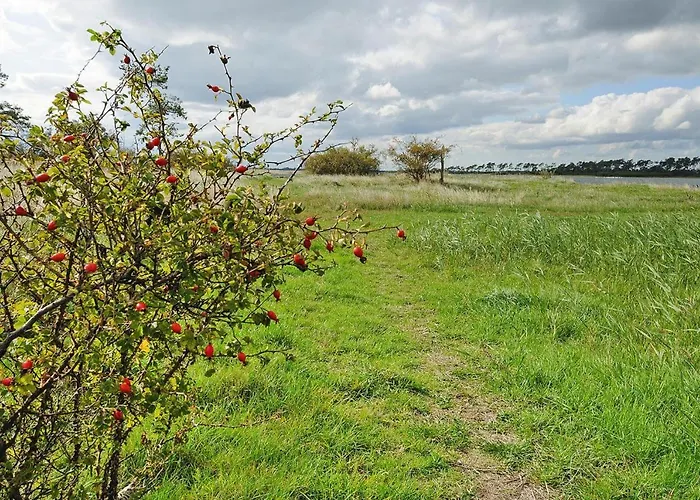 Gutshaus Zicker In Garz *
